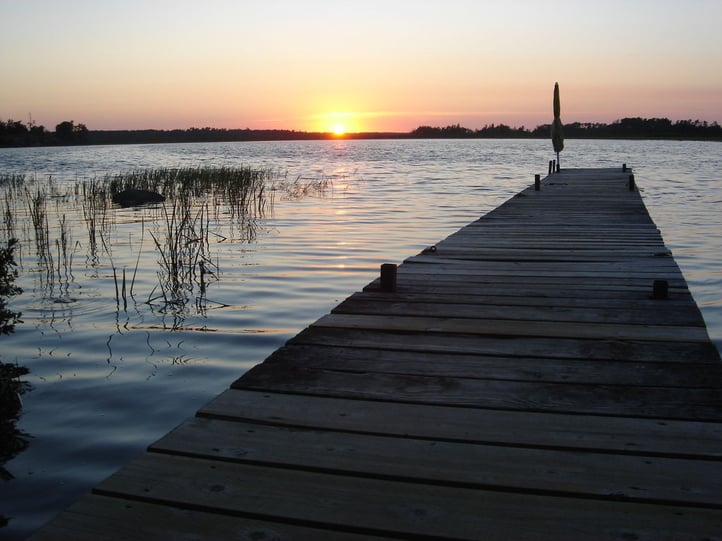 Remember these mosquito tips when closing down the cottage