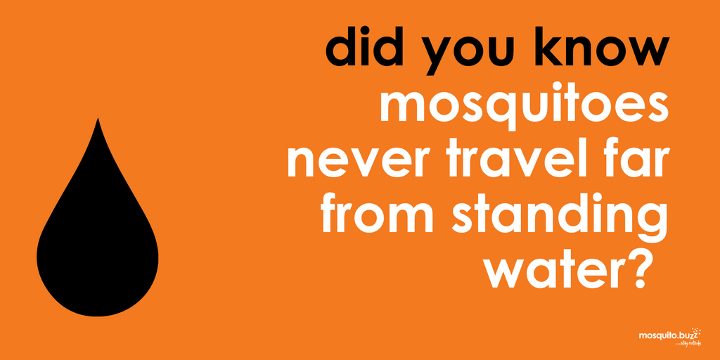 Mosquitoes are found close to water.