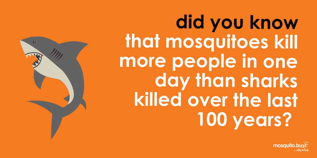 Mosquitoes kill more people in a day than sharks over the last 100.