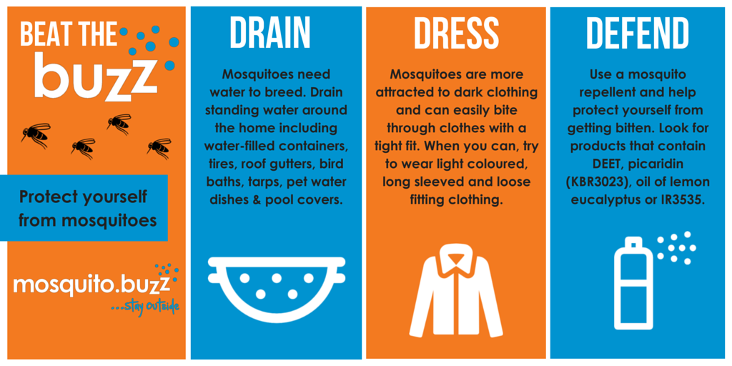 Follow the Three D's of Mosquito Control.