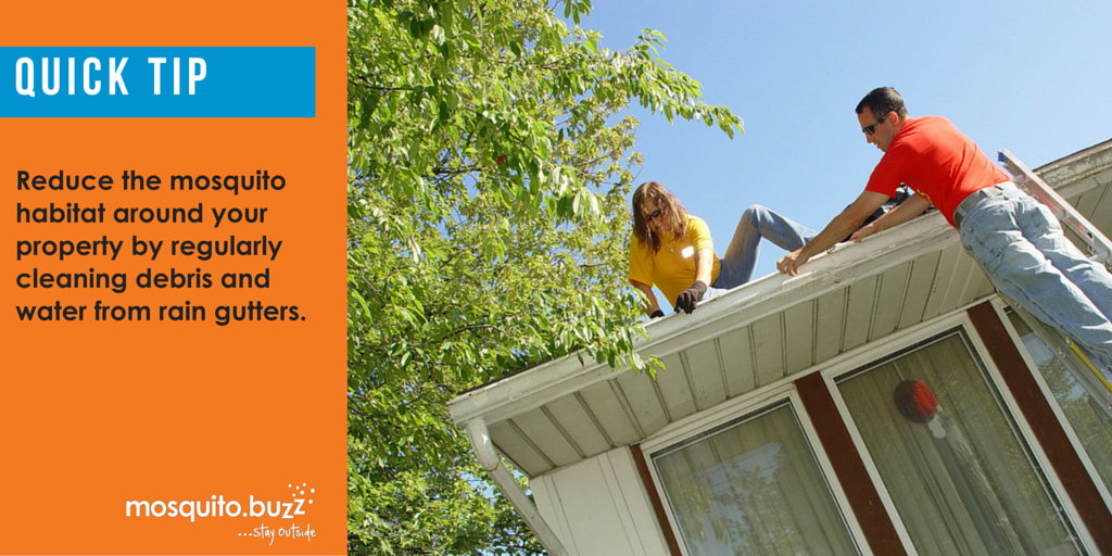 Reduce mosquito populations by cleaning your gutters.