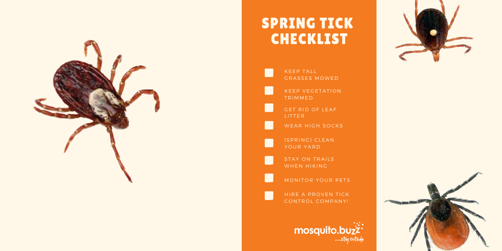 The adult stage is the last stage of a ticks' life.