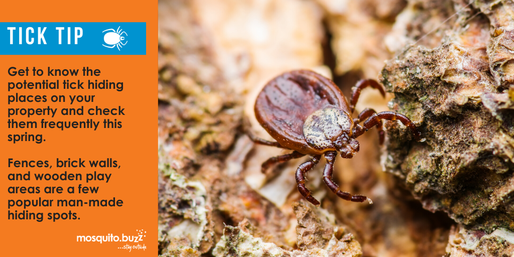 Get to know tick hiding places on your property.