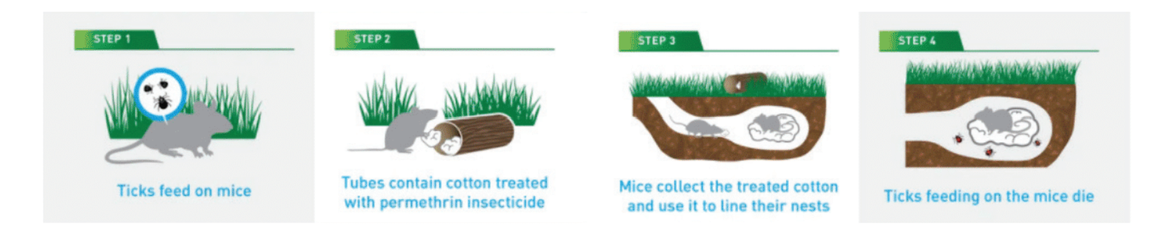 This is how tick tubes work.