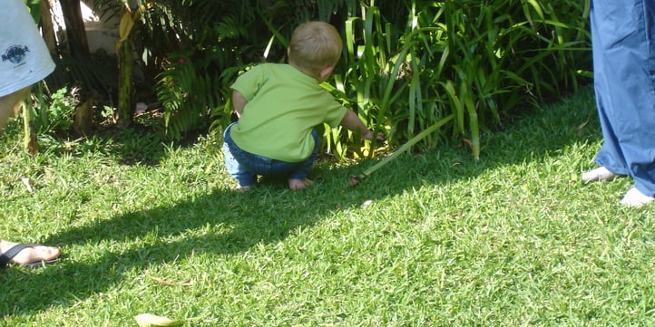 backyard-treasure-hunt.jpg