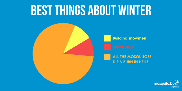 bestthingsaboutwinter (twitter).png