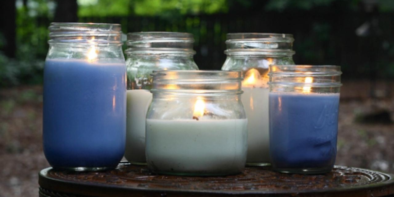 8 Common Mosquito Myths