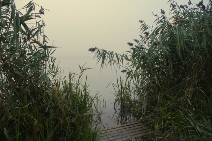 fog-river.jpg