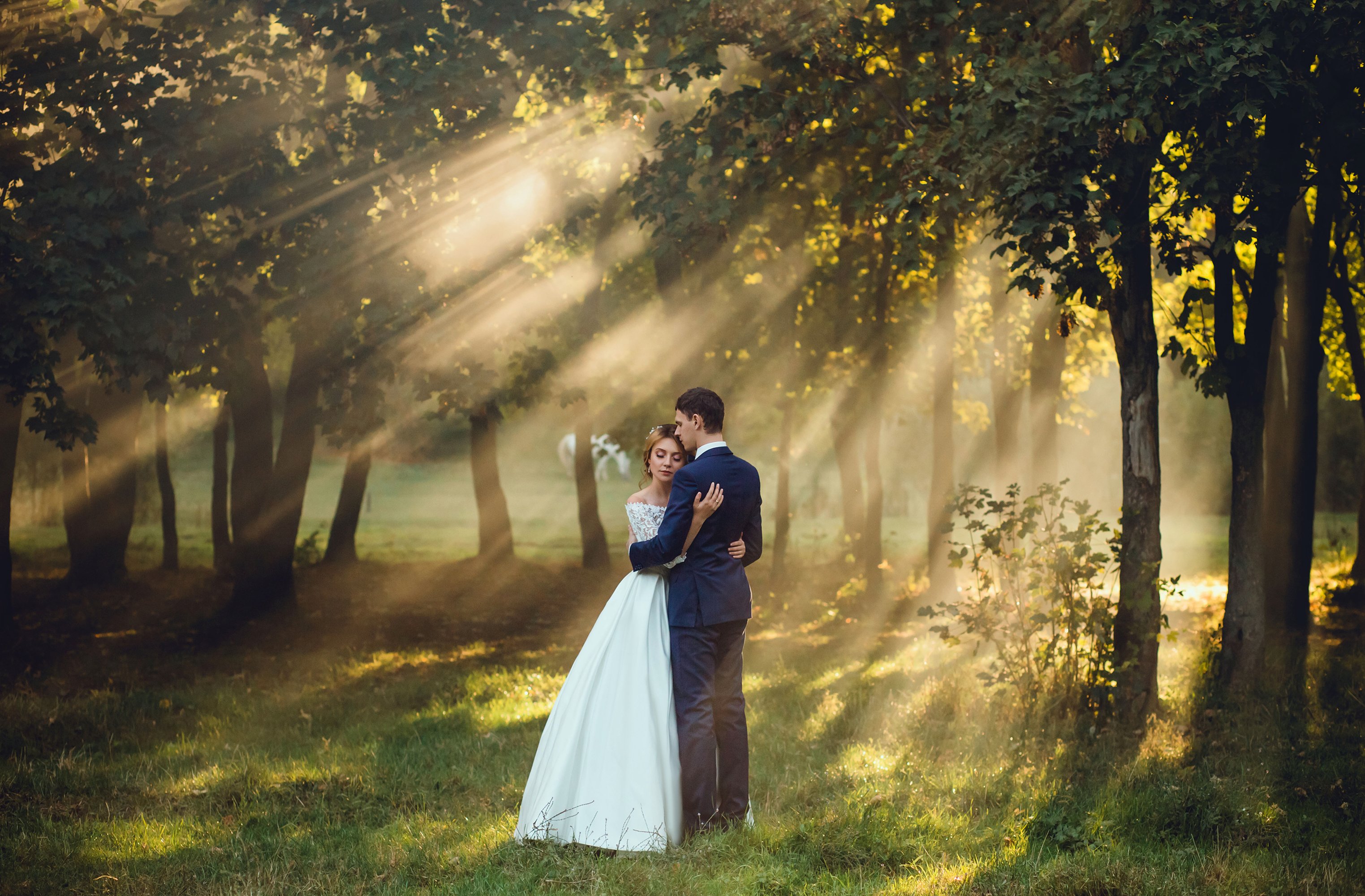 Don't let mosquitoes ruin your outdoor wedding. 