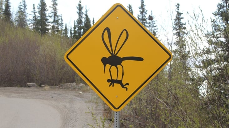 mosquito-sign.jpg