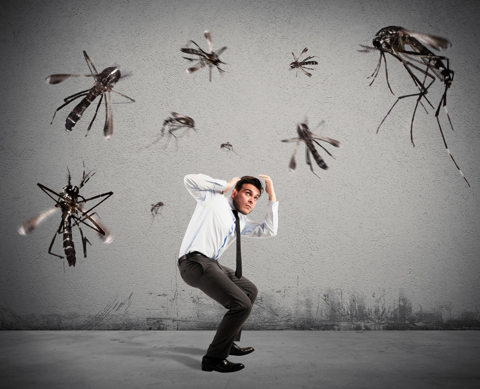 What Are The Different Types of Mosquitoes?