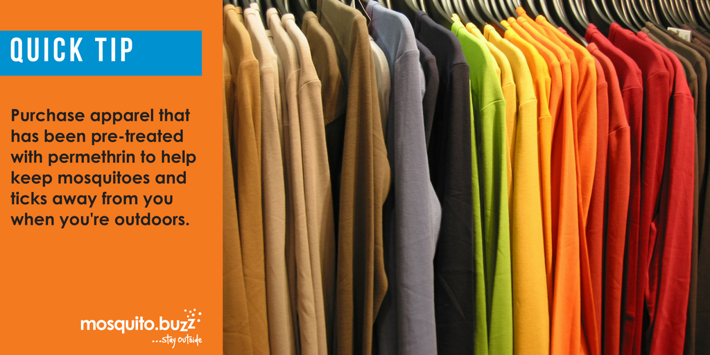 How To Deal With Black Flies