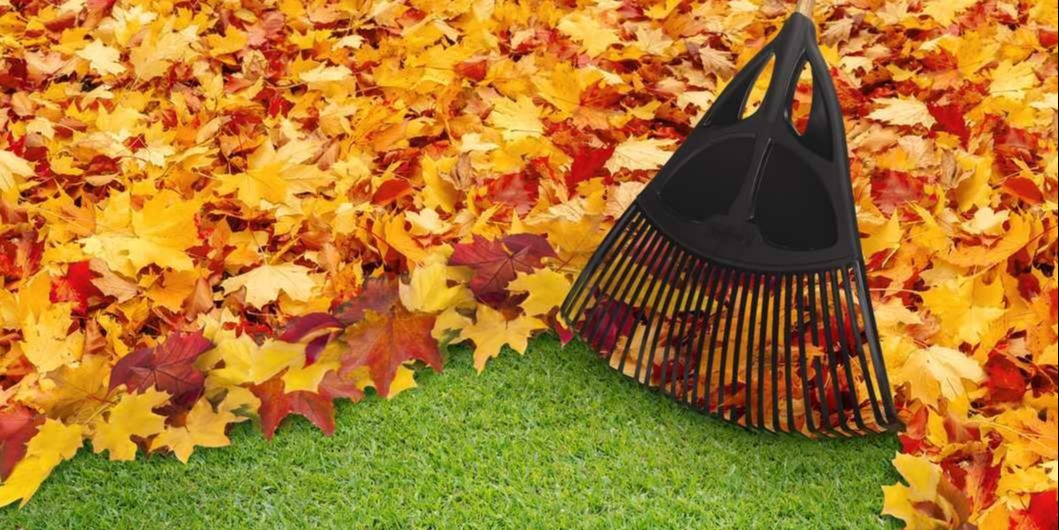 Get rid of leaf piles in your yard.