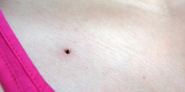 Ticks like to crawl upwards