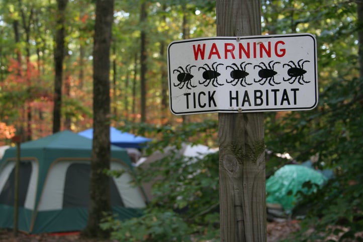 tick-season.jpg