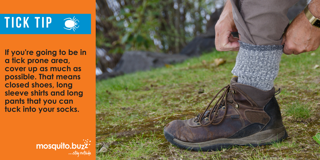 Wear closed-toe shoes and long-sleeved clothing when doing yard work.