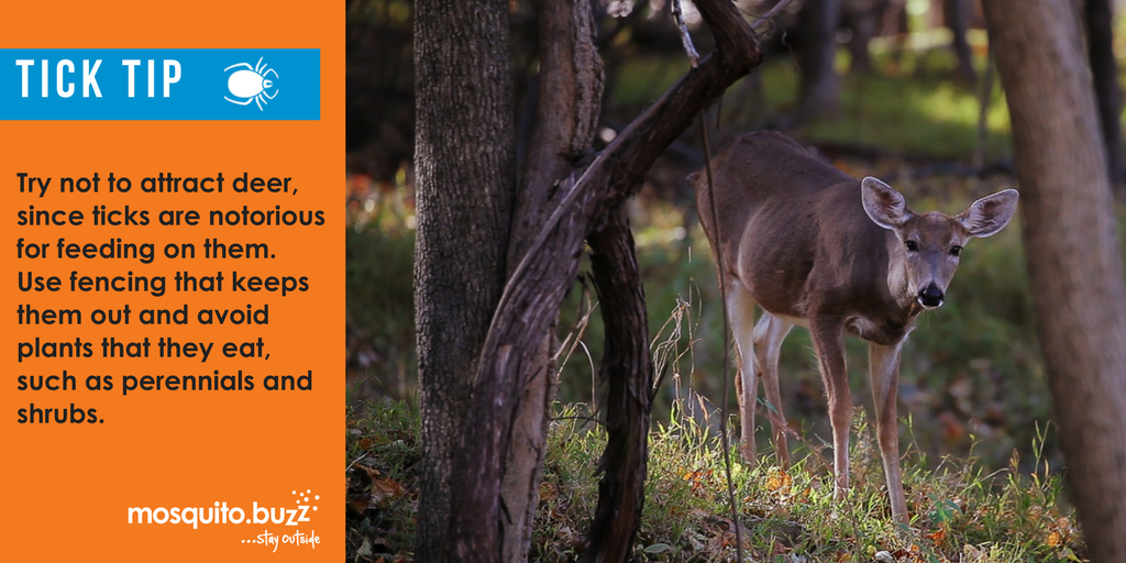 Keep deers and ticks out of your yard.