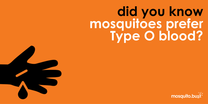 Mosquitoes prefer Type O blood.