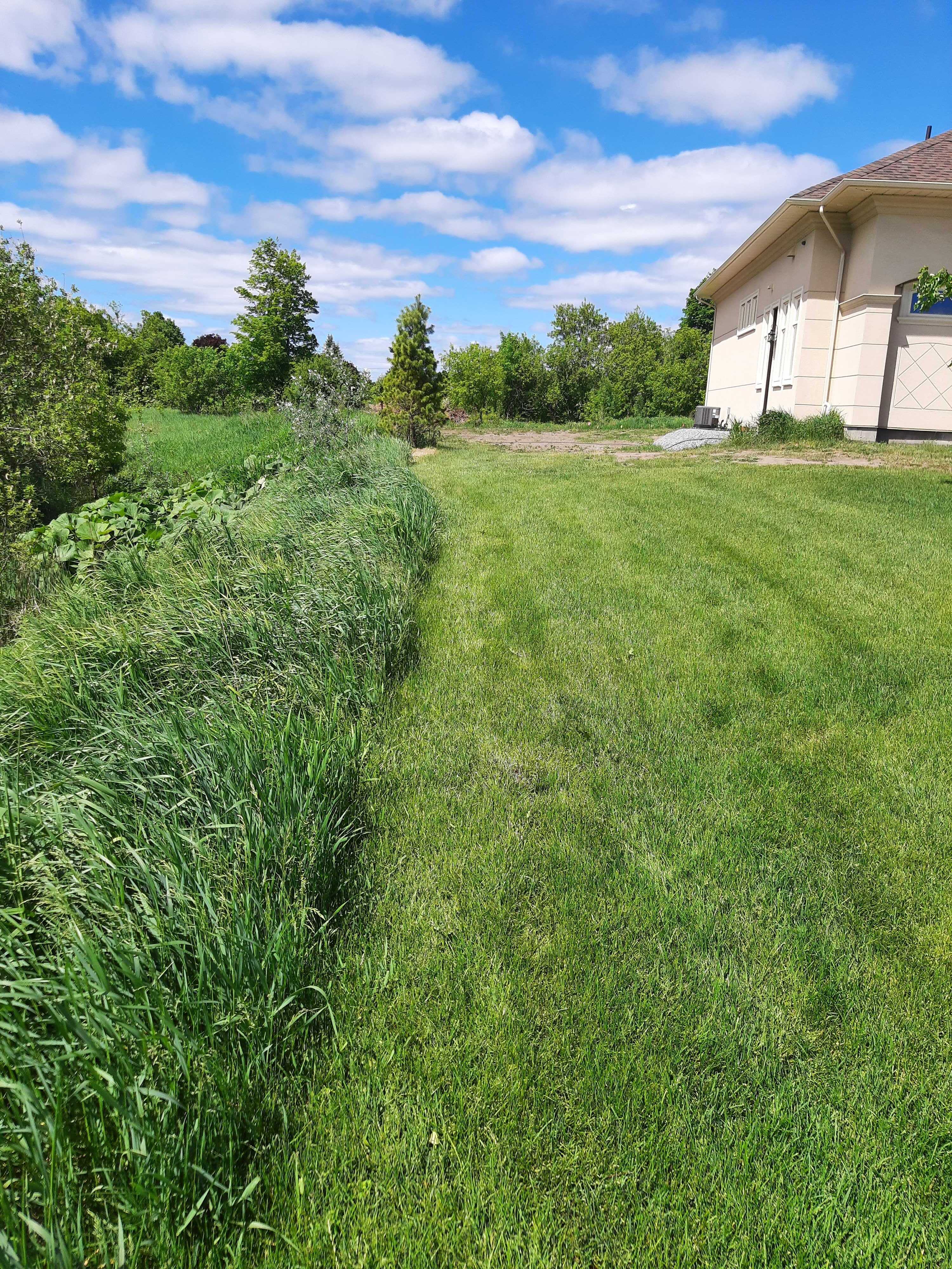 we do not spray manicired lawn but we ABSOLUTELY DO spray tall grass like in the picture. Mosquitos love tall grass like this and it is a very importantvaluable control surface