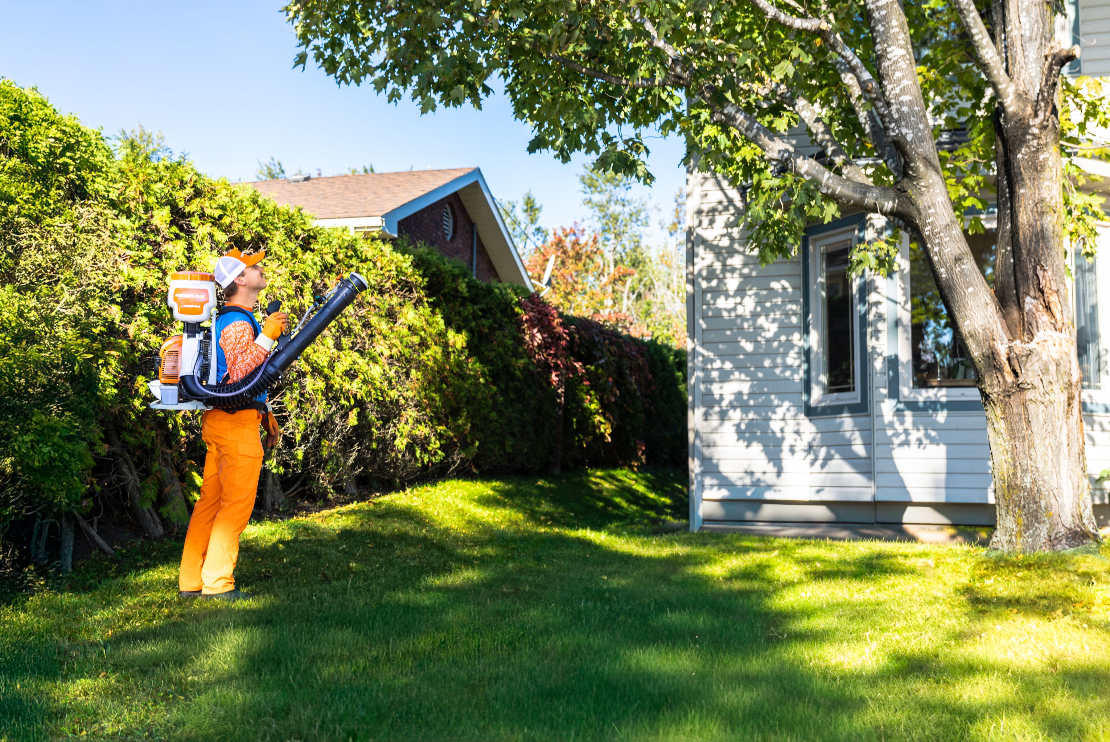How to Get Rid of Ticks: Season-Long Control by mosquito.buzz - Featured Image
