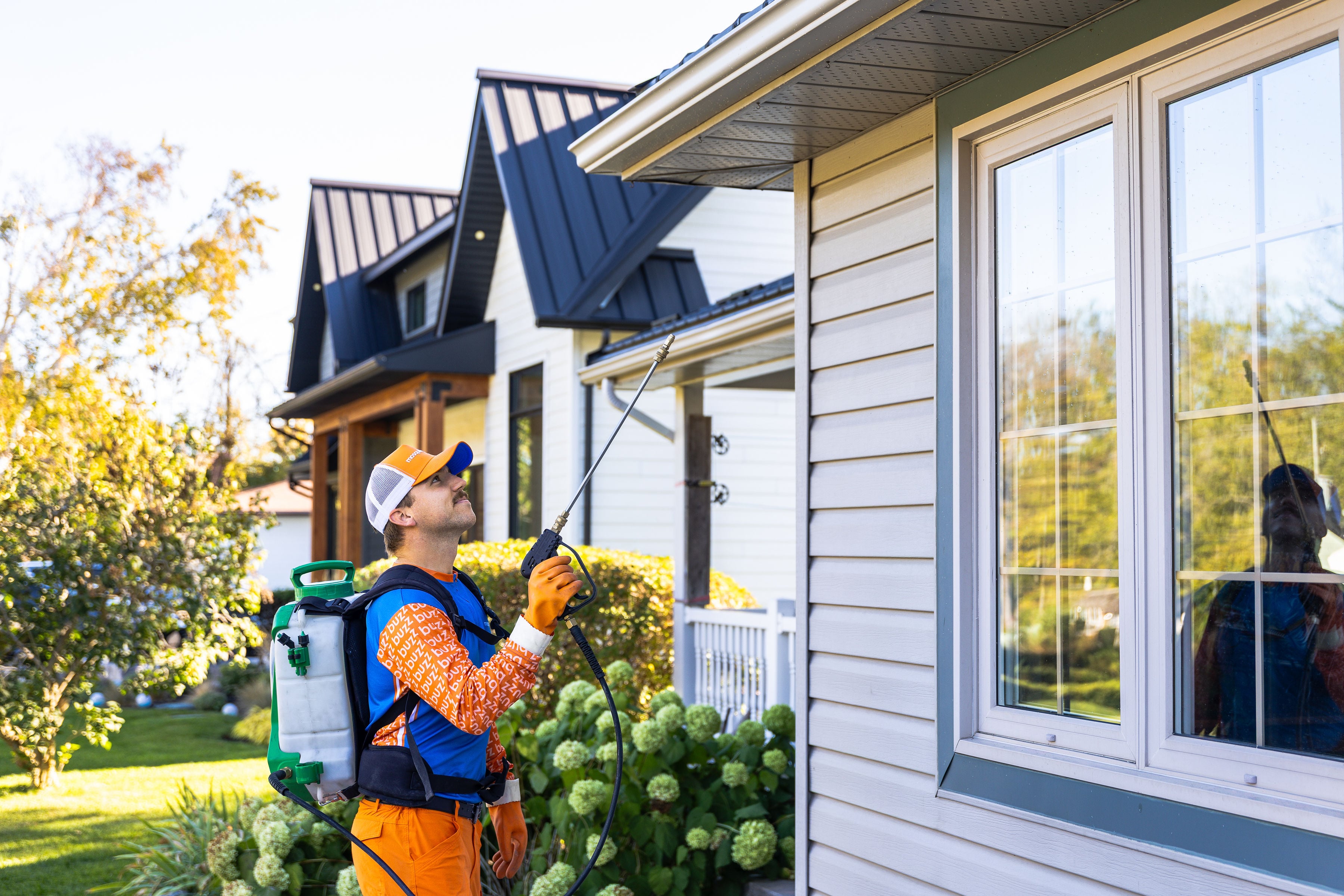 What Kills Spiders? Smart Options for Outside - Featured Image