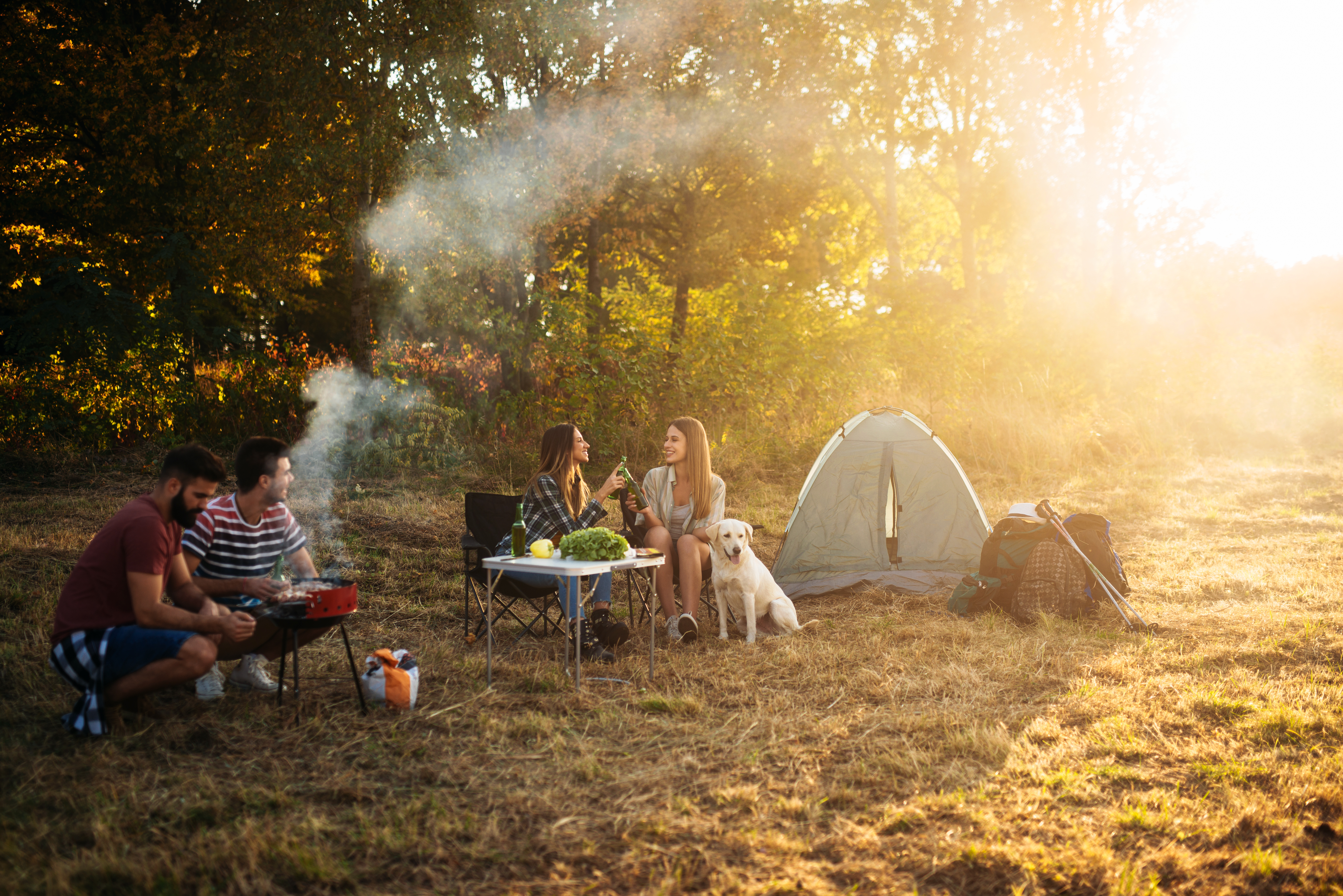 Camping 101: Tips For Avoiding Mosquitoes & Ticks - Featured Image