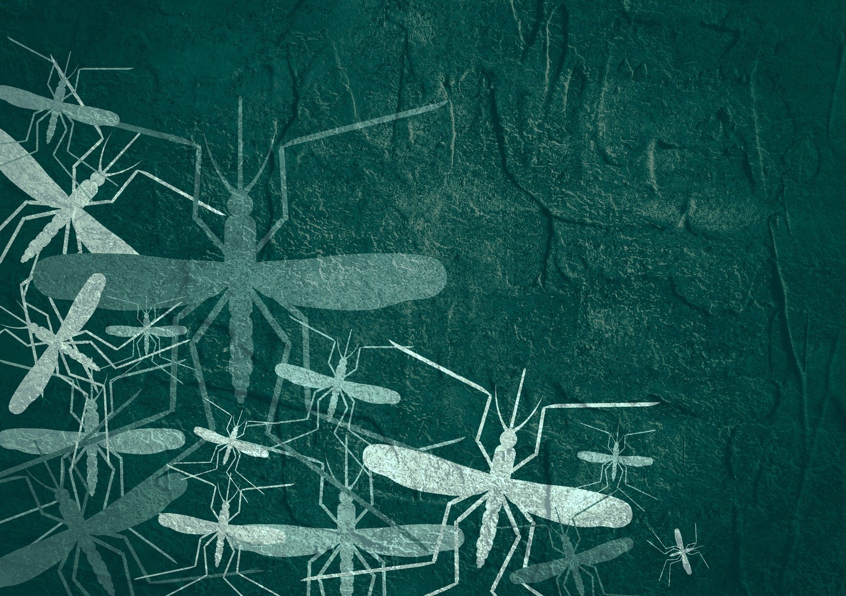 20 Random Mosquito Facts You Probably Didn't Know - Featured Image